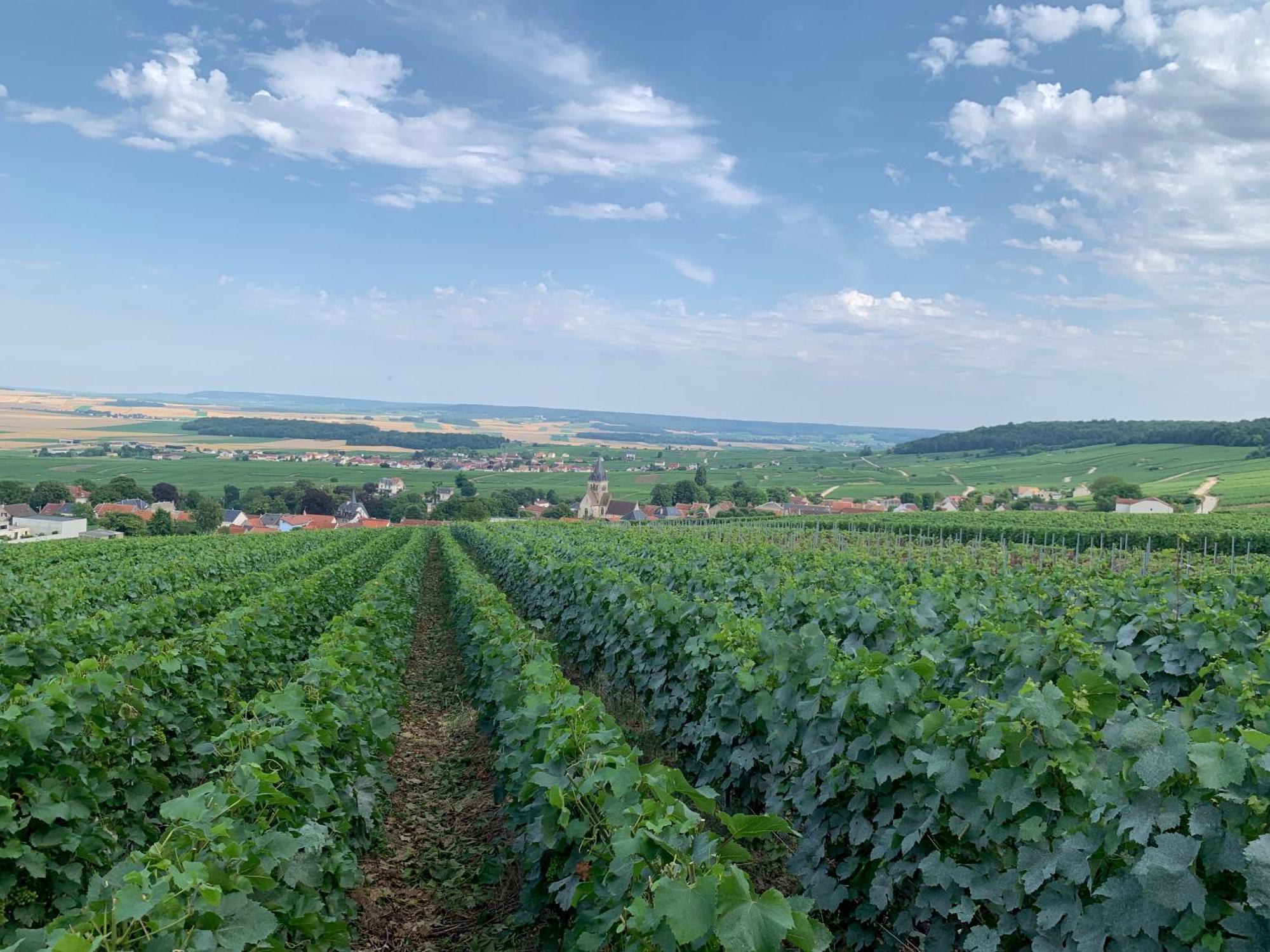 Les Suites Champenoises Тенке Екстер'єр фото