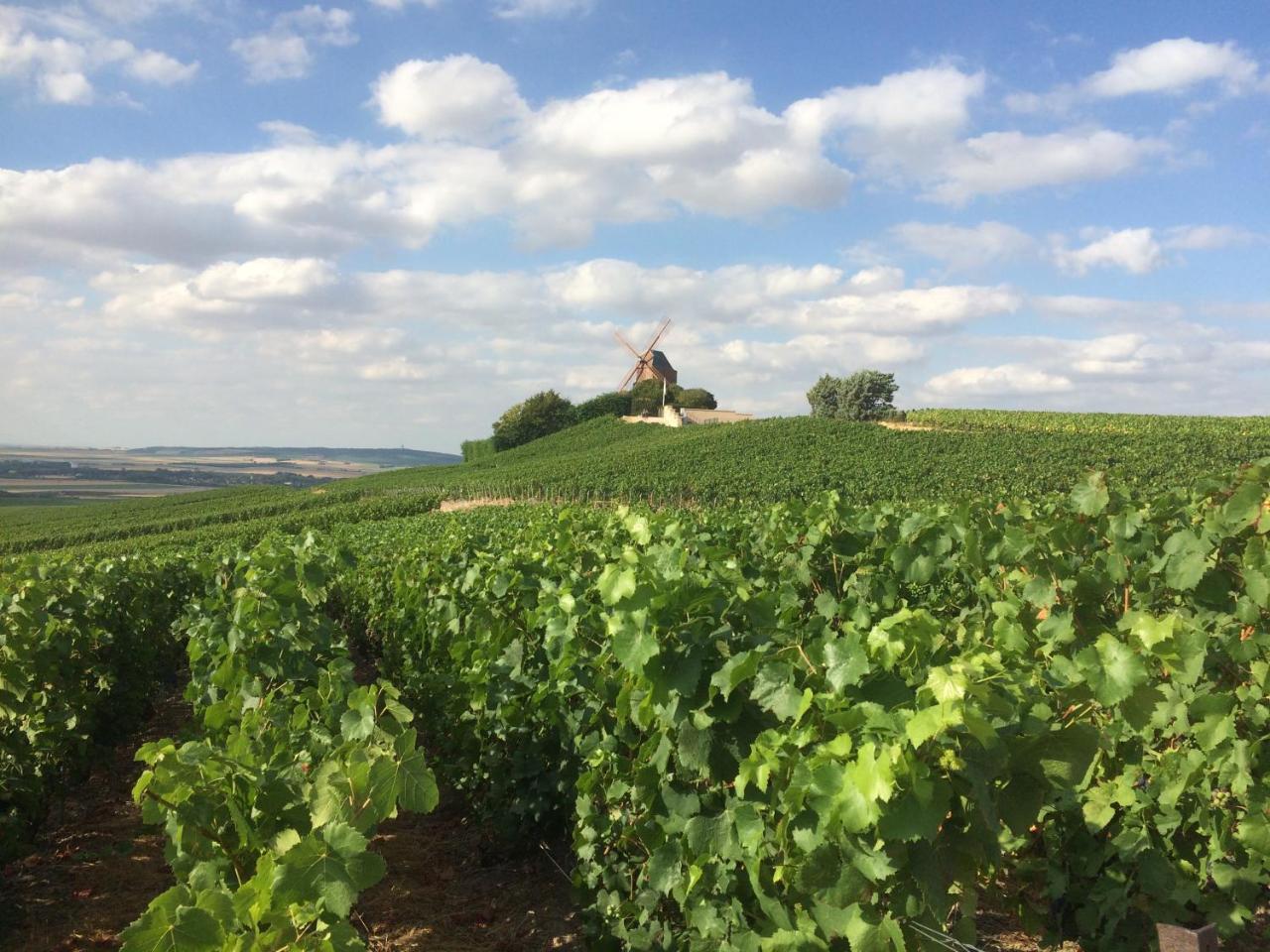 Les Suites Champenoises Тенке Екстер'єр фото